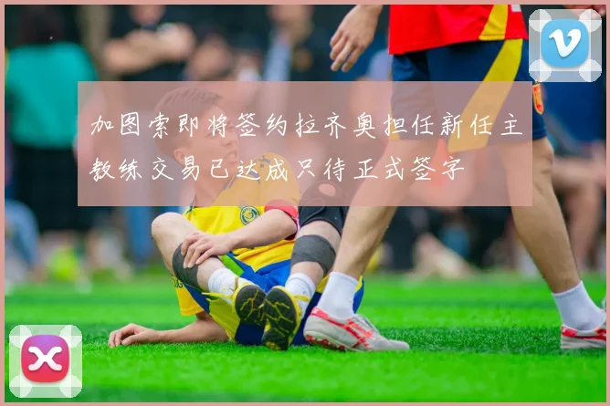 加图索即将签约拉齐奥担任新任主教练交易已达成只待正式签字